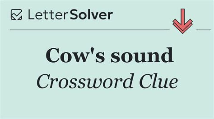 Cow’s sound Crossword Clue