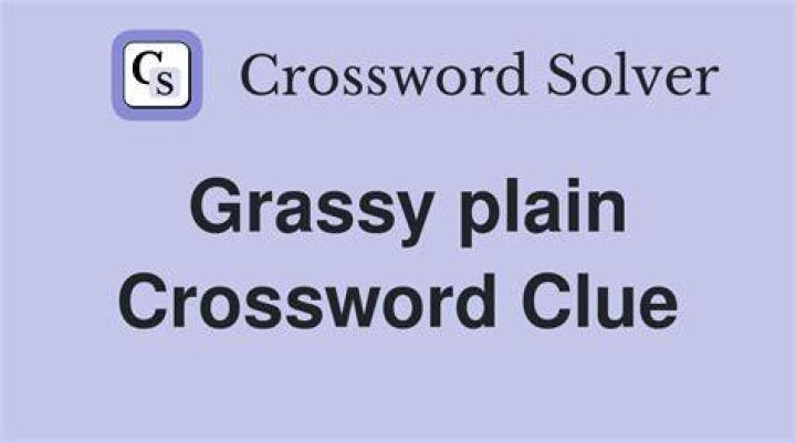 Grassy plain Crossword Clue
