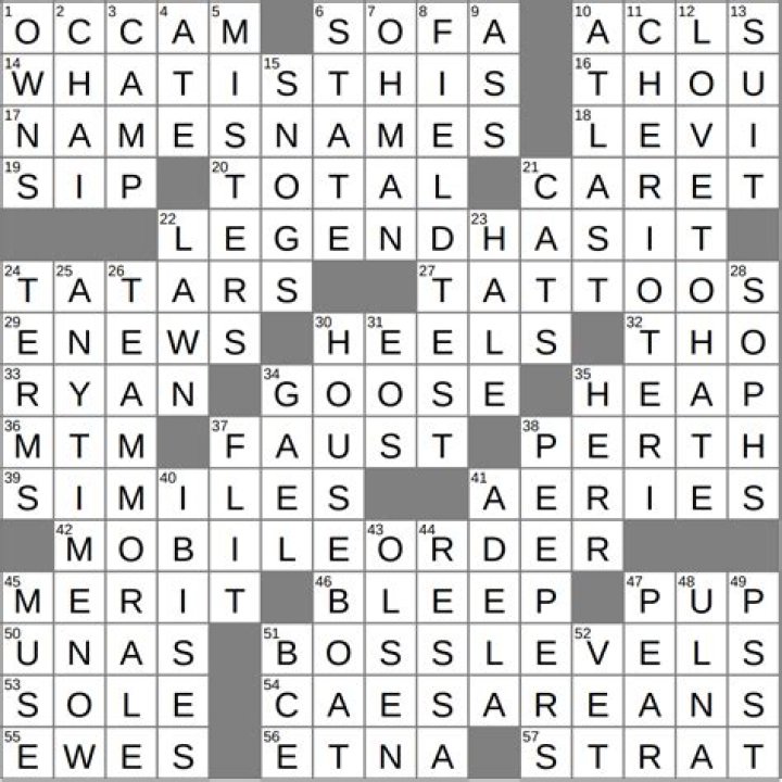 Hitch, say Crossword Clue
