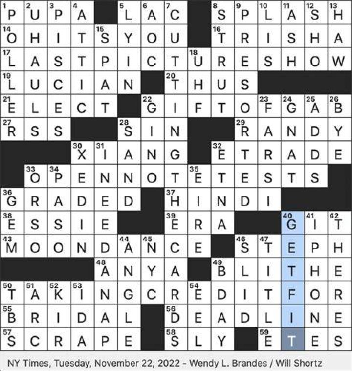 Moth’s cocoon phase Crossword Clue