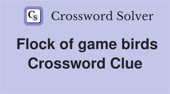 Scatter like a flock of birds Crossword Clue