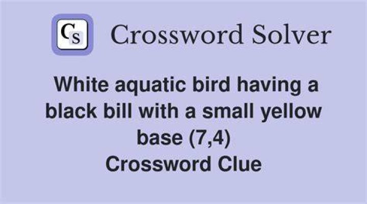 Small bill Crossword Clue
