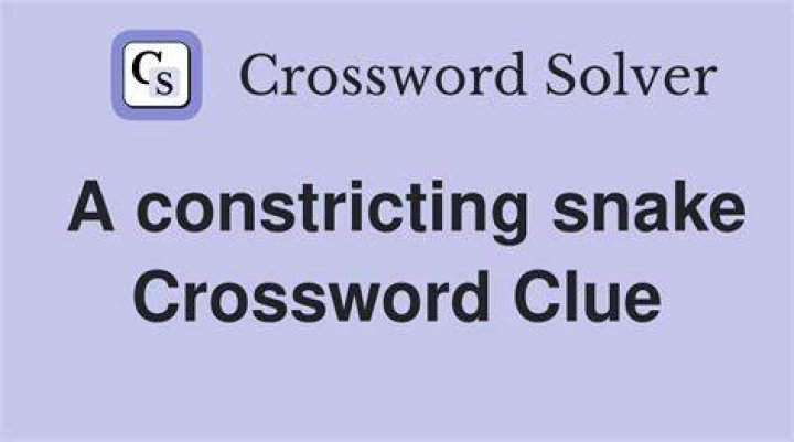 Snake that’s good with numbers? Crossword Clue