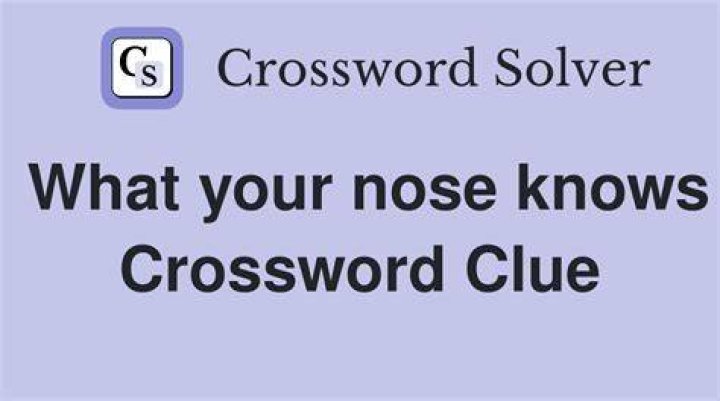 Something the nose knows Crossword Clue